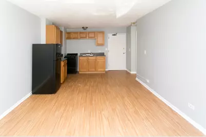 7333 N Ridge Boulevard #111, Chicago, IL 60645 - Photo 9