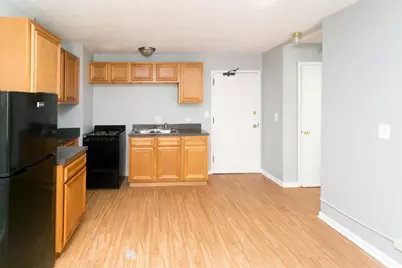 7333 N Ridge Boulevard #111, Chicago, IL 60645 - Photo 3