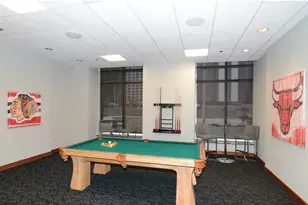 420 E Waterside Dr, Chicago, IL 60601 - Photo 31