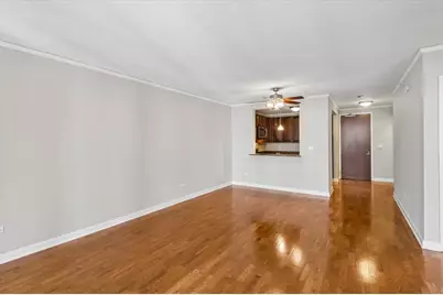 420 E Waterside Drive #807, Chicago, IL 60601 - Photo 7