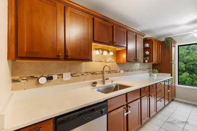 823 E Coach Road #6, Palatine, IL 60074 - Photo 15