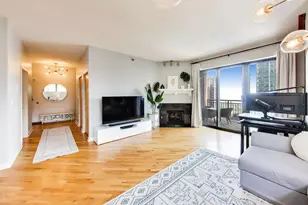 41 E 8th St, Chicago, IL 60605 - Photo 9