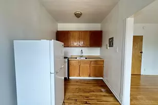 2432 N Linden Pl, Chicago, IL 60647 - Photo 3