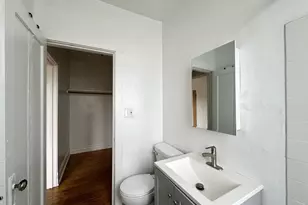 2432 N Linden Pl, Chicago, IL 60647 - Photo 19