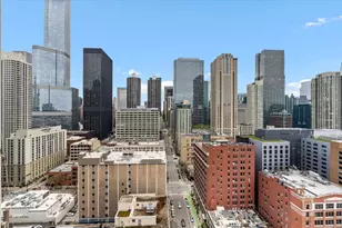 545 N Dearborn St, Chicago, IL 60654 - Photo 19