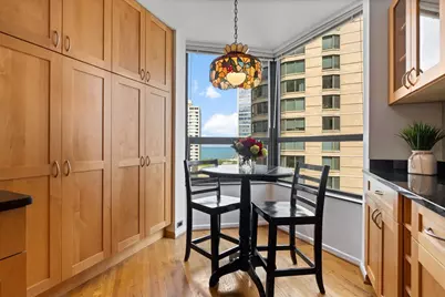 400 E Ohio Street #2003, Chicago, IL 60611 - Photo 9