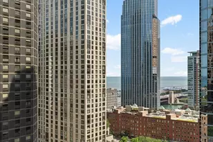 400 E Ohio St, Chicago, IL 60611 - Photo 3