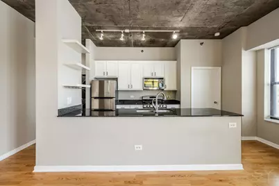 1122 W Catalpa Avenue #616, Chicago, IL 60640 - Photo 11