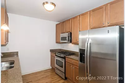 1160 S Michigan Avenue #1406, Chicago, IL 60605 - Photo 5