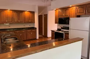 10822 Valerie Ct, Orland Park, IL 60467 - Photo 9