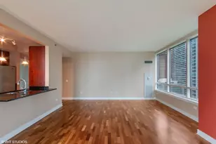 505 N McClurg Ct, Chicago, IL 60611 - Photo 5