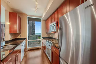 505 N McClurg Ct, Chicago, IL 60611 - Photo 7