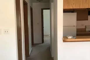2305 S Stewart Ave, Chicago, IL 60616 - Photo 5