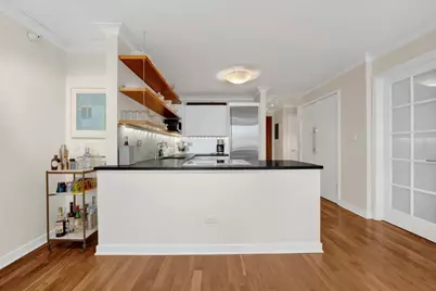 2 E Erie Street #3401, Chicago, IL 60611 - Photo 7