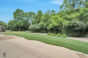 8834 Carefree Ave, Orland Park, IL 60462 - Photo 43