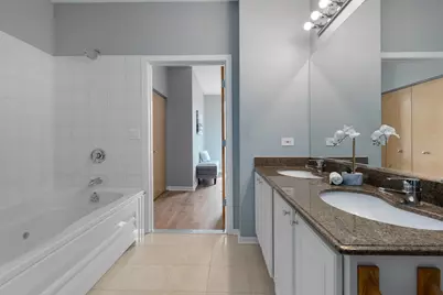 1808 S Michigan Avenue #12, Chicago, IL 60616 - Photo 13