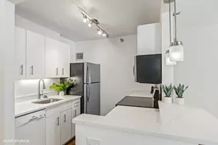 401 E Ontario St, Chicago, IL 60611 - Photo 3