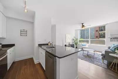 421 W Huron Street #1009, Chicago, IL 60654 - Photo 5