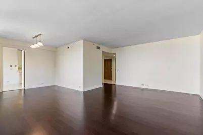 400 E Ohio Street #3202, Chicago, IL 60611 - Photo 11