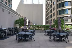400 E Ohio St, Chicago, IL 60611 - Photo 29