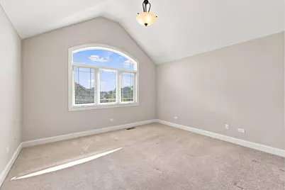 19966 Laporte Meadows Drive, Frankfort, IL 60423 - Photo 25