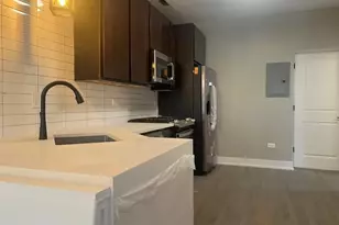 1157 W Webster Ave, Chicago, IL 60614 - Photo 5