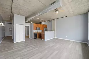 50 E 16th St, Chicago, IL 60616 - Photo 7