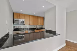 30 E Huron St, Chicago, IL 60611 - Photo 9