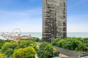 600 N Lake Shore Dr, Chicago, IL 60611 - Photo 21