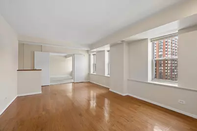 40 E 9th Street #1512, Chicago, IL 60605 - Photo 21