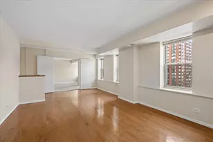 40 E 9th St, Chicago, IL 60605 - Photo 21