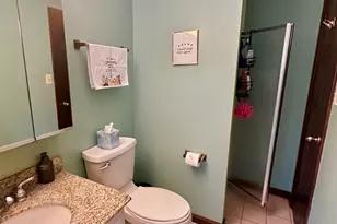 128 Laurie Ln, Oswego, IL 60543 - Photo 17