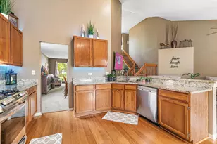 204 Dickens Trail, Elgin, IL 60120 - Photo 11