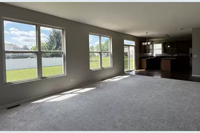 24319 Linden Lane, Plainfield, IL 60585 - Photo 9