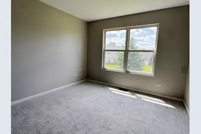 24319 Linden Lane, Plainfield, IL 60585 - Photo 21