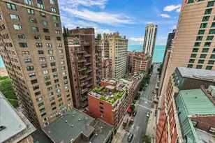 190 E Walton Pl, Chicago, IL 60611 - Photo 55