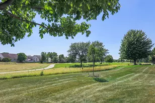 13339 Red Cedar Ln, Plainfield, IL 60544 - Photo 59