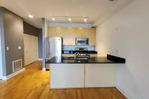 1260 W Washington Blvd, Chicago, IL 60607 - Photo 3