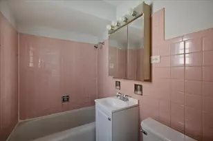 6250 W 64th Pl, Chicago, IL 60638 - Photo 9