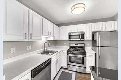 545 N Dearborn Street #3006, Chicago, IL 60654 - Photo 9