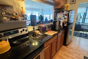 4180 N Marine Dr, Chicago, IL 60613 - Photo 3