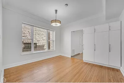 4745 S St. Lawrence Avenue, Chicago, IL 60615 - Photo 29