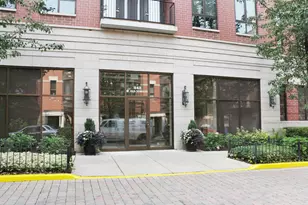 343 W Old Town Ct, Chicago, IL 60610 - Photo 3