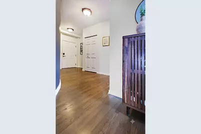 343 W Old Town Court #508, Chicago, IL 60610 - Photo 17