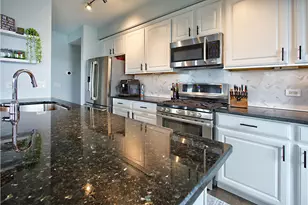 343 W Old Town Ct, Chicago, IL 60610 - Photo 9