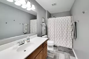 833 Briarcliff Dr, Minooka, IL 60447 - Photo 33