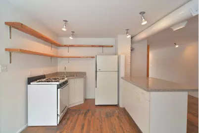 2021 S Ruble Street #1, Chicago, IL 60616 - Photo 5