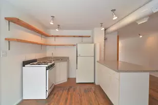 2021 S Ruble St, Chicago, IL 60616 - Photo 5