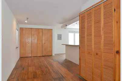 2021 S Ruble Street #1, Chicago, IL 60616 - Photo 3