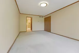 10472 Brookridge Creek Dr, Frankfort, IL 60423 - Photo 17